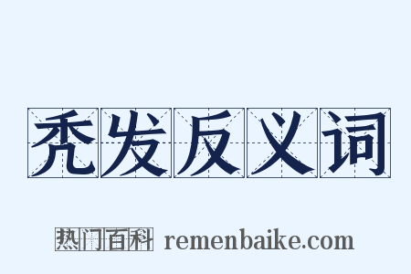 秃发反义词是什么意思的图片